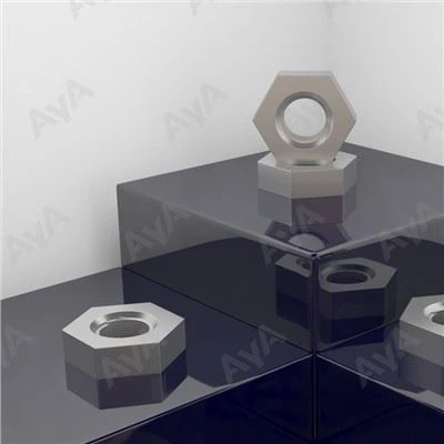 Stainless Hex Nuts